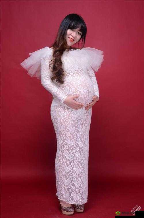 新版孕妇 bbwbbw:孕期之美