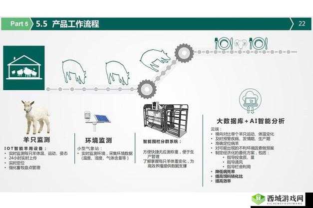 人畜禽 CORPORATION:打造行业新标杆