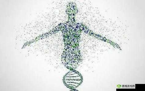 人与猪的 DNA:探讨其奥秘与意义