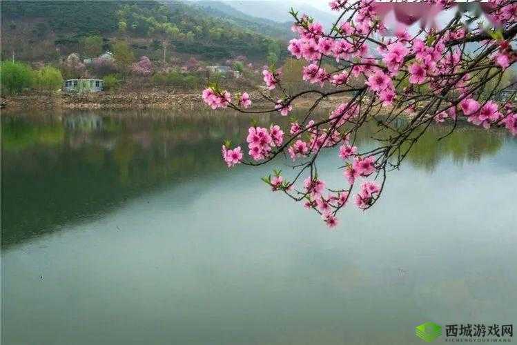桃花洞口已是溪水潺潺:春景如画惹人醉