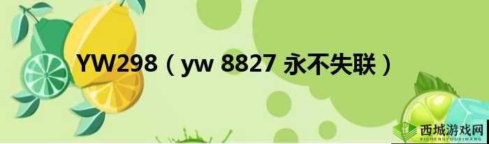 yw 永不失联国际 2024:永恒的连接与期待