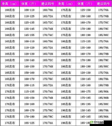 欧洲多尺码 3538：优质服装尺码之选