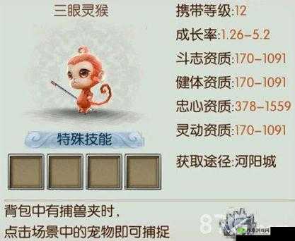诛仙手游眼灵猴全方位解析:宠物属性获取指南及培养攻略