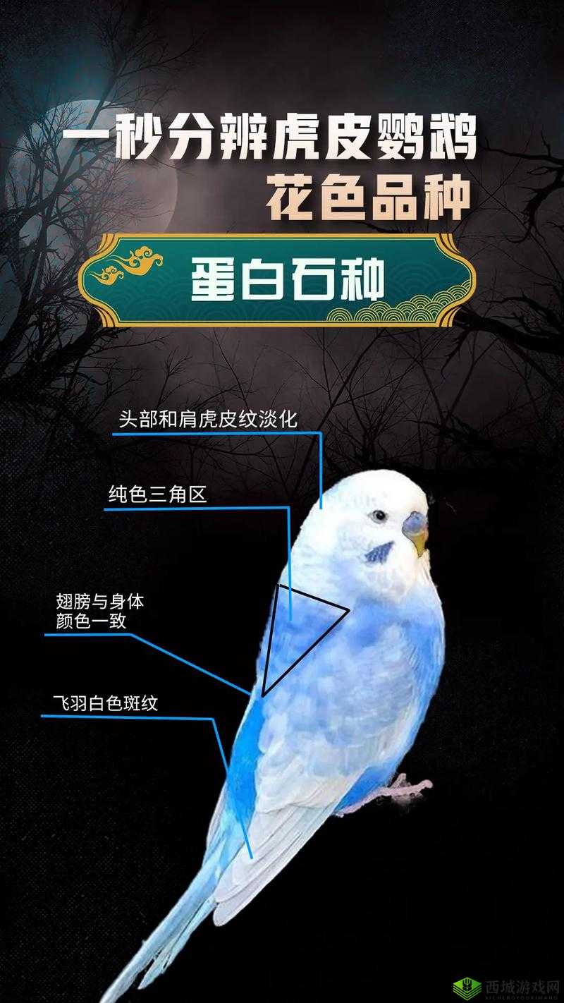 御剑情缘御灵宠物选啥好?哪种宠物更实用