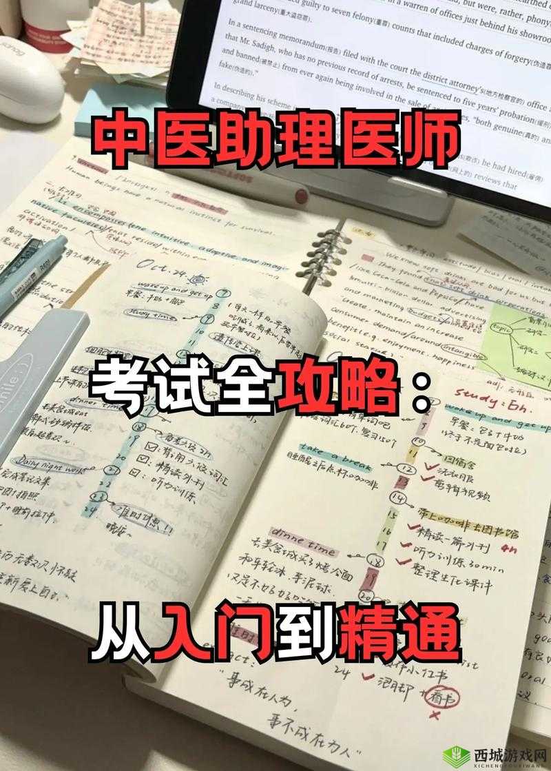 2048 新手必备:从入门到精通的全方位详细攻略指南