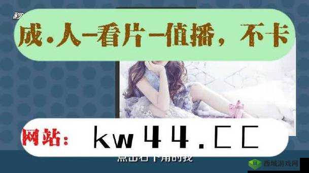 夜晚 10 大禁用 B 站免费:精彩不容错过