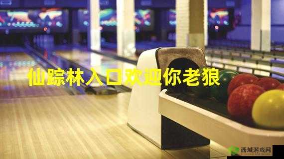 仙踪林视频欢迎入口:带你进入奇幻世界