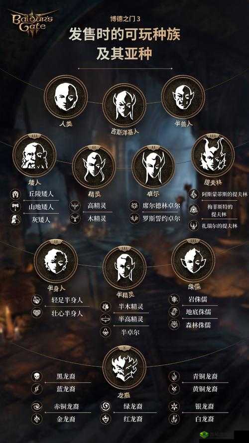 《博德之门3:子职业图鉴与深度解析》