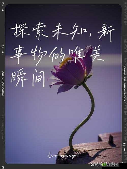 17c13.cin 视频：探索未知的奥秘
