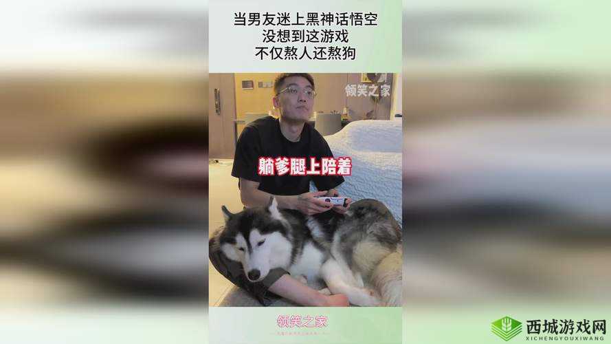 上海留学生单挑三个黑:是正义还是鲁莽?
