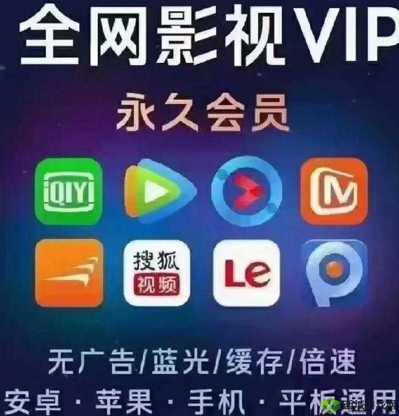b 站永久免费看片大全:畅享海量精彩影视资源