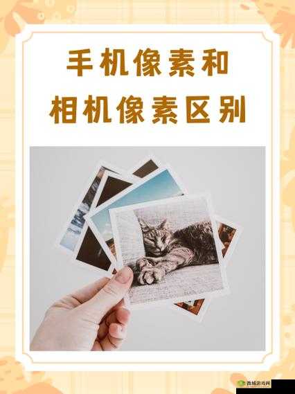 手机与单反的对比，在资源管理中的智慧运用