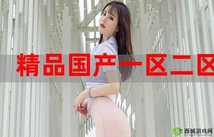 国精产品一品二品国在线:引领品质生活新潮流