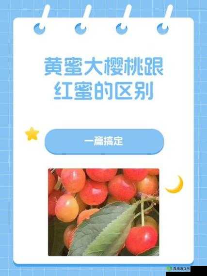 黄蜜大樱桃跟红蜜的区别:外观口感营养全面剖析