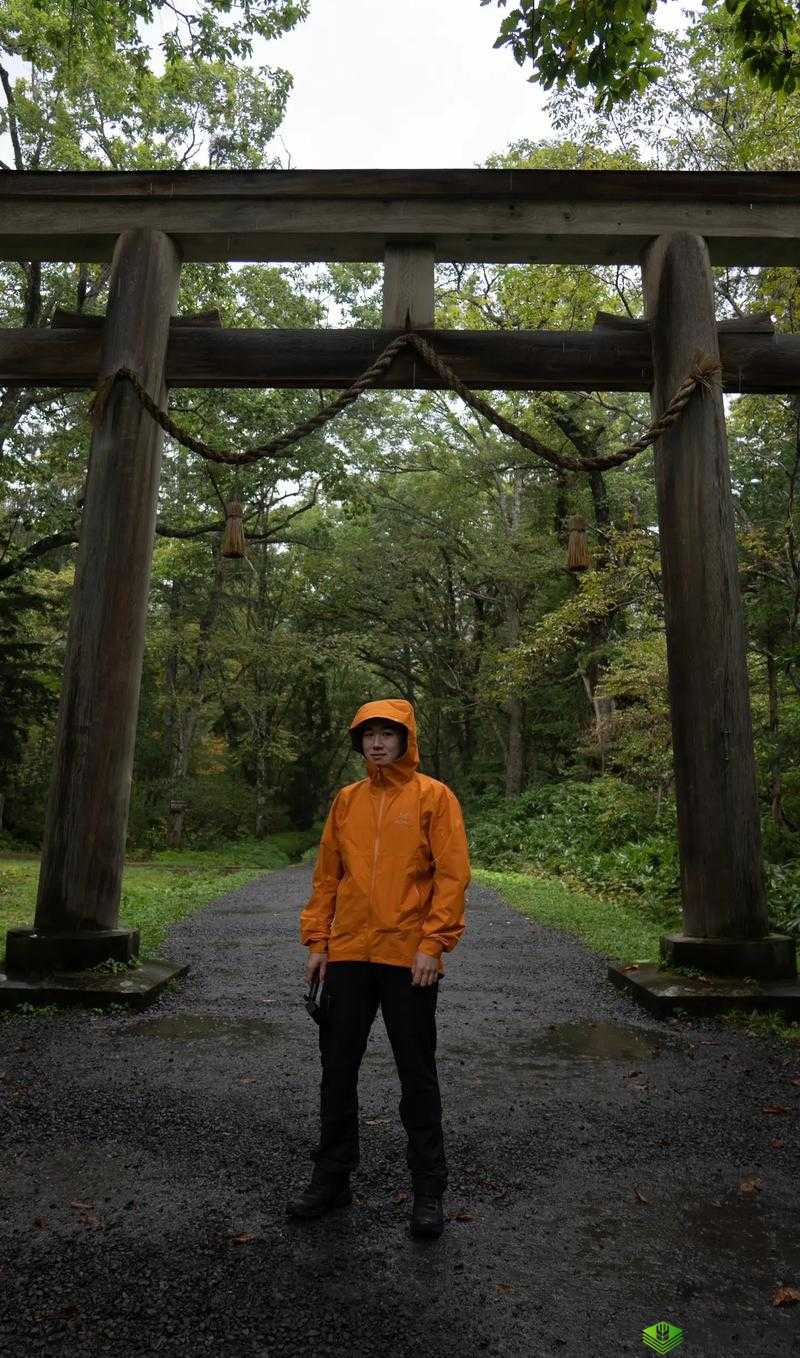 人与禽性动交:探索未知的世界
