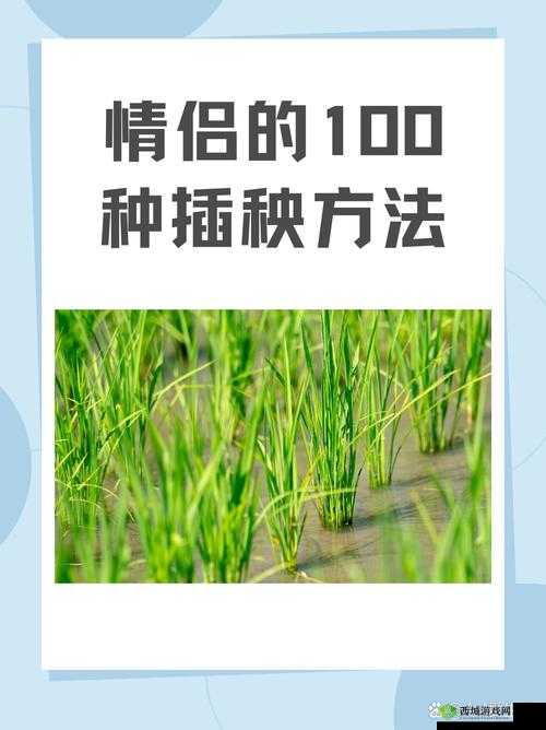 情侣的 30 种插秧法:详细解读与实践技巧分享