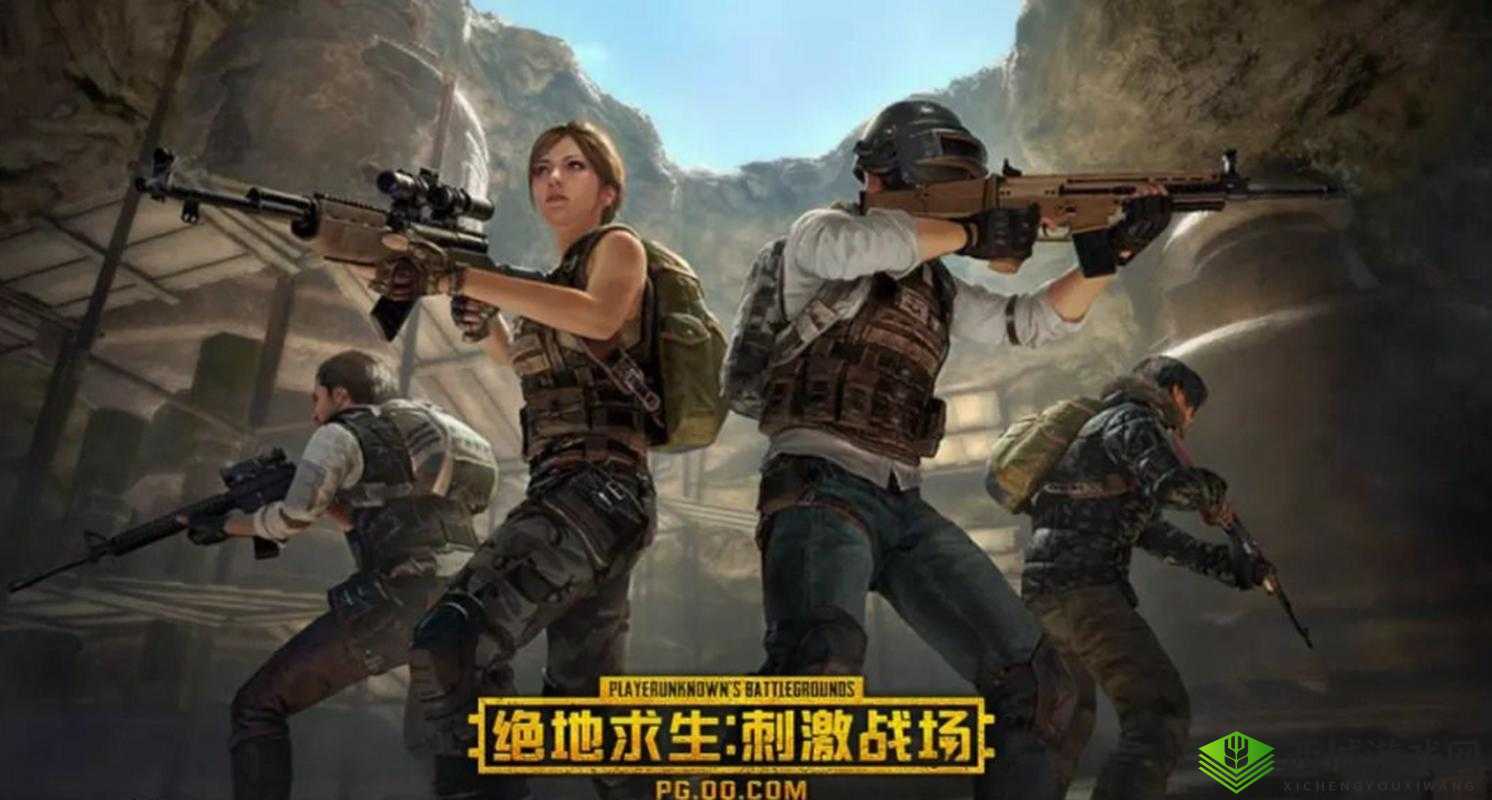 绝地求生刺激战场，娱乐模式战术竞技的深度探索