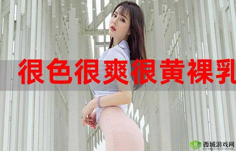 看全色黄大色黄大片爽一次:极致视觉享受,让你心跳加速