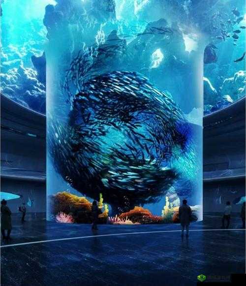 海角色色视频:探索未知的海洋世界
