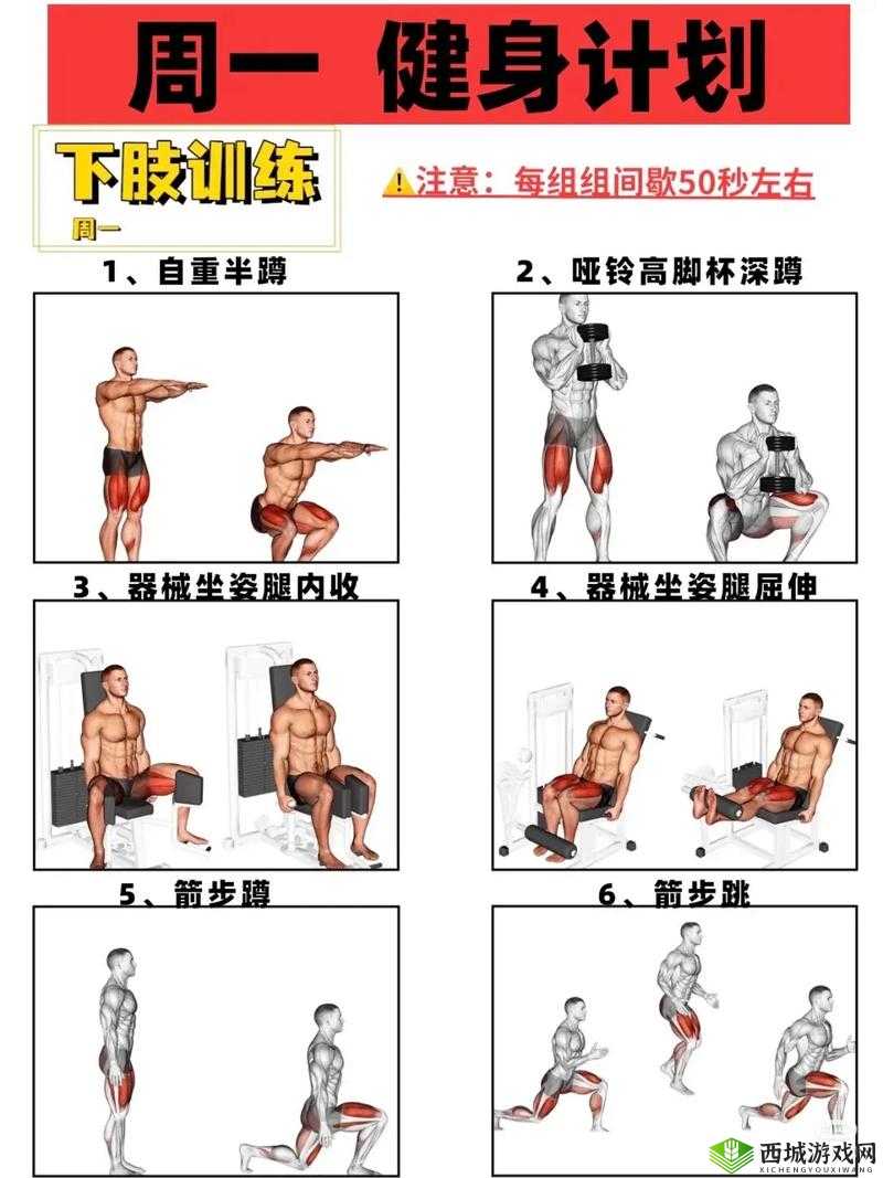 C 人动作教程:简单易学的高效健身指南