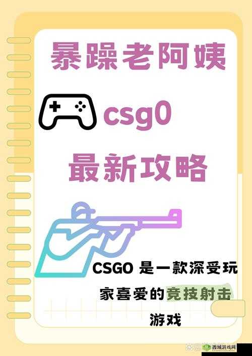 CSGO 暴躁小阿姨:教你成为游戏大神