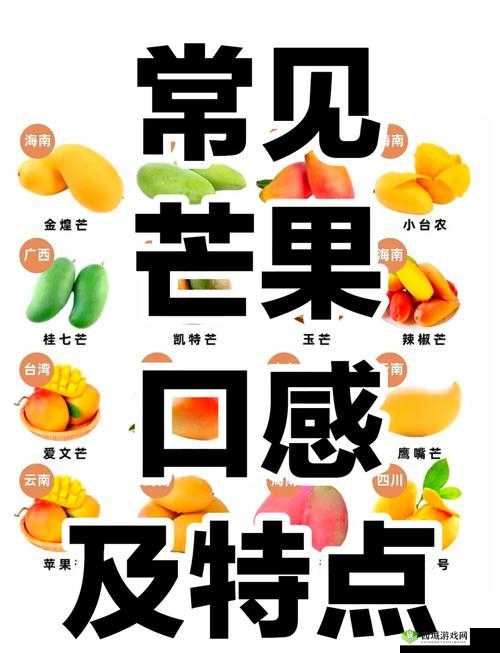 探索区3区4区产品乱码芒果的独特魅力:揭秘其背后的市场趋势与消费者偏好