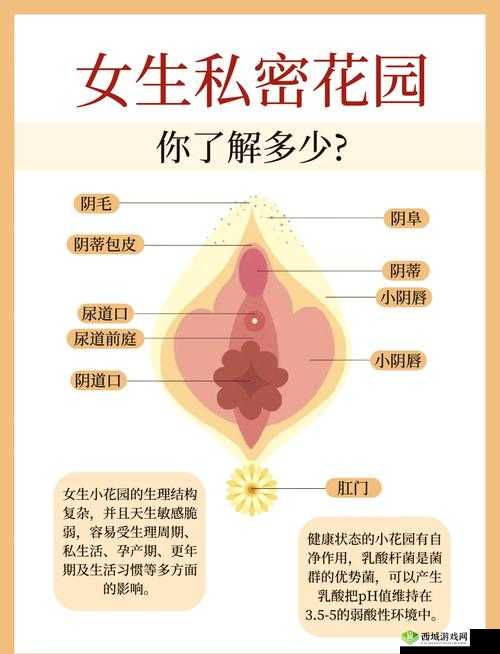 1000 个女人的私密故事：18 毛片背后的真相