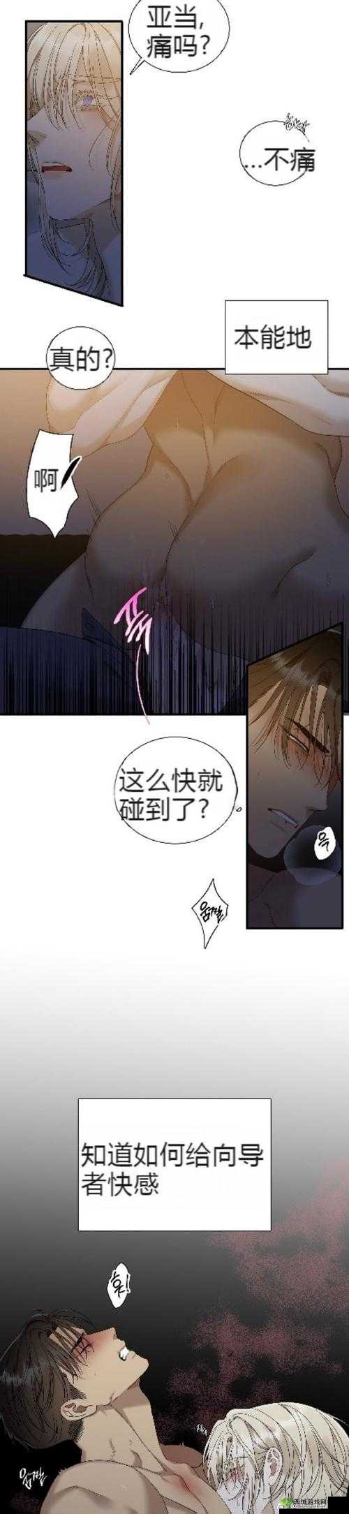 韩漫肉久久歪歪歪究竟有何独特魅力?引发全网热议的背后原因是什么?