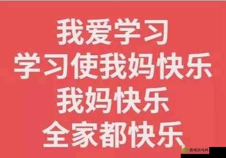 学习使我妈快乐第7关攻略，游戏通关步骤在资源管理中的重要性及高效策略