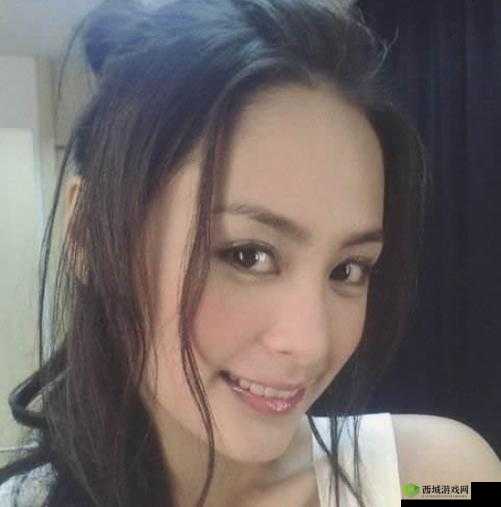 张柏芝电脑维修照片2003事件究竟是怎么回事?引发全网热议的背后真相是什么?
